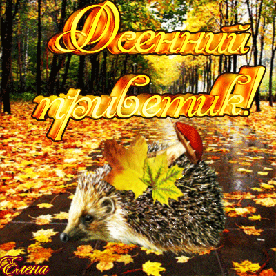 Осенний приветик~Анимационные блестящие открытки GIF