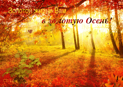 Золотой жизни Вам в золотую осень!~Анимационные блестящие открытки GIF
