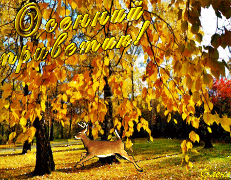 Осенний приветик~Анимационные блестящие открытки GIF