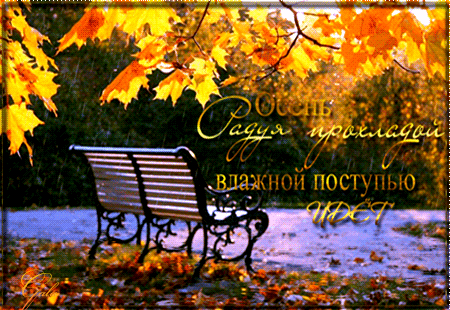 Осень радуя прохладой влажной поступью идет - Осень открытки и картинки