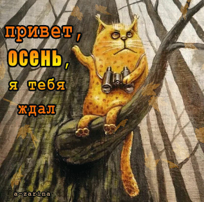 кот в ожидании осени~Анимационные блестящие открытки GIF