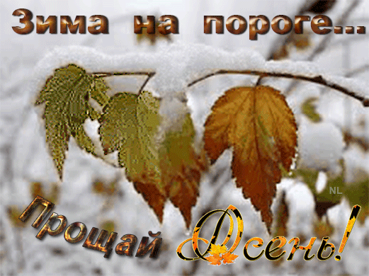 Зима на пороге - Осень открытки и картинки