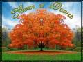 Вот и Осень - Осень открытки и картинки