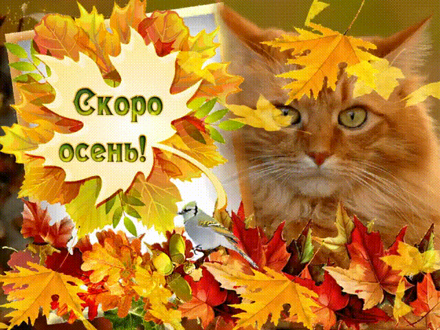 Картинка анимация Скоро Осень - Осень открытки и картинки