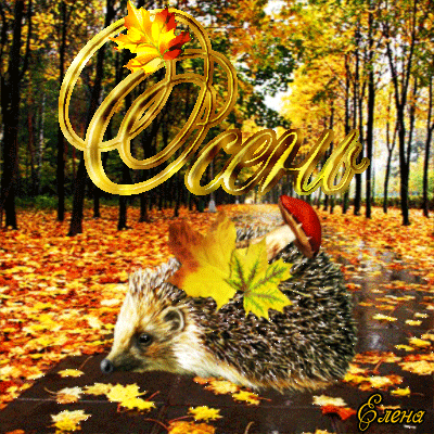Осенний приветик с ёжиком~Анимационные блестящие открытки GIF