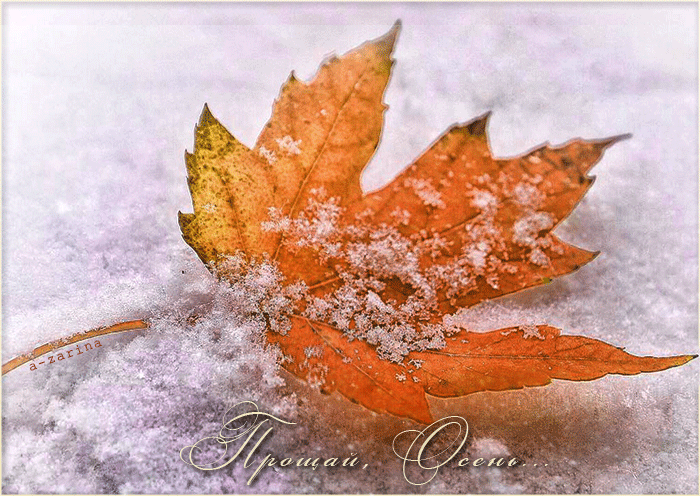 Прощание с осенью - Осень открытки и картинки