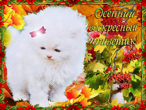Осенний воскресный приветик~Анимационные блестящие открытки GIF