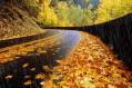 Осенний дождь - Осень открытки и картинки