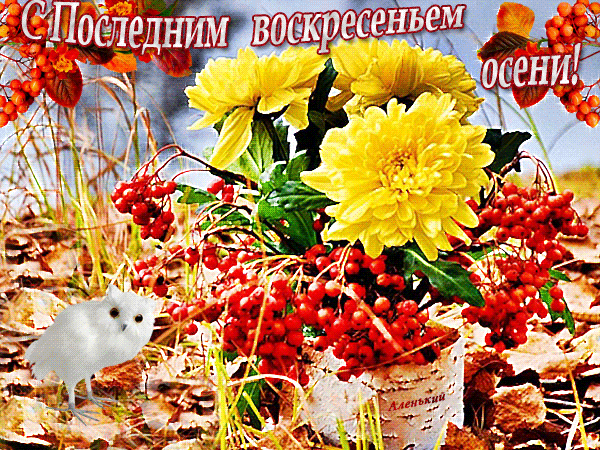 С Последним воскресеньем осени~Анимационные блестящие открытки GIF