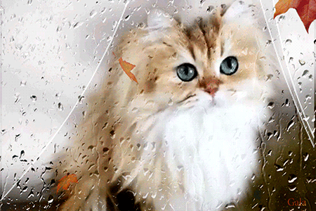 Хорошего настроения в любую погоду~Анимационные блестящие открытки GIF