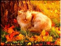яркого настроения - Осень открытки и картинки
