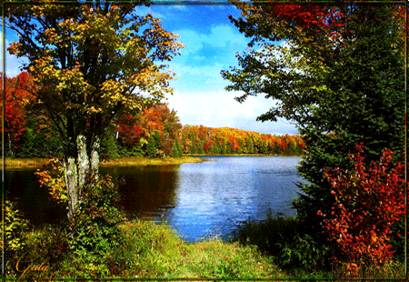Чудесной осени - Осень открытки и картинки