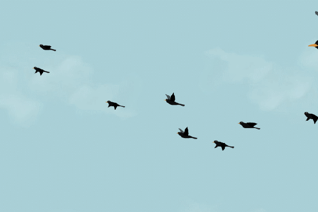 Птицы улетают на Юг~Анимационные блестящие открытки GIF