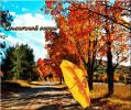 Солнечной осени - Осень открытки и картинки