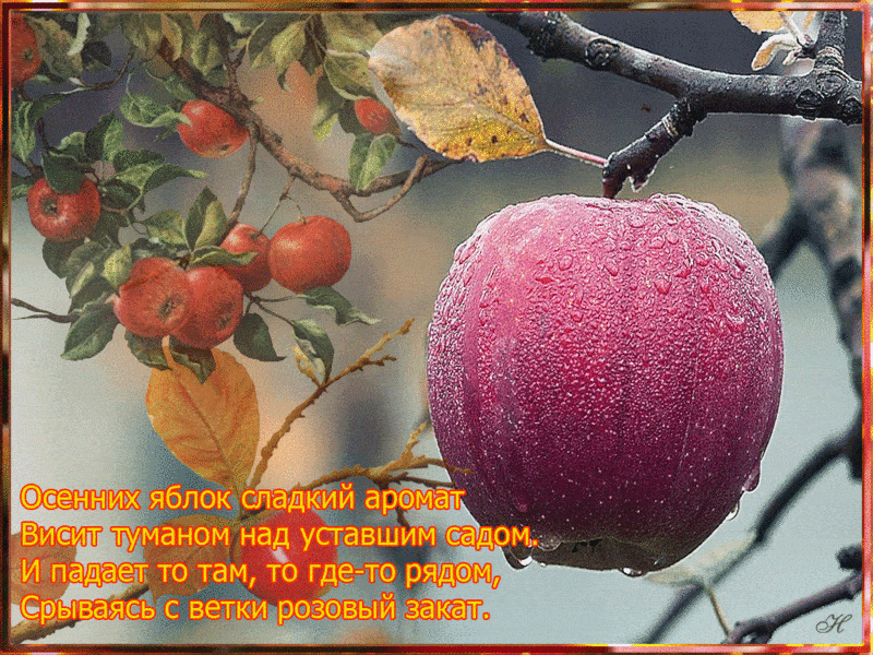 Осенних яблок сладкий аромат - Осень открытки и картинки