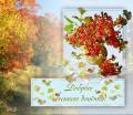 Доброго осеннего денёчка! - Осень открытки и картинки