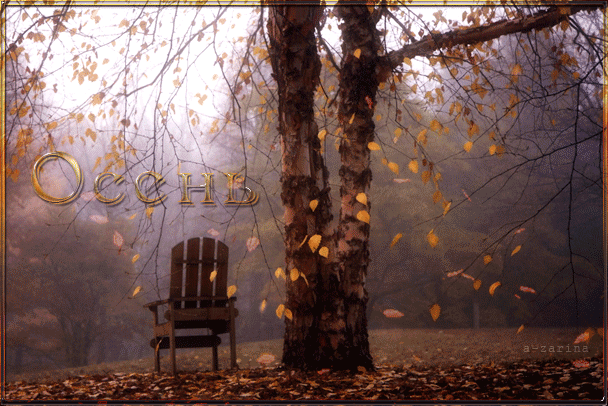 Осень в парке - Осень открытки и картинки
