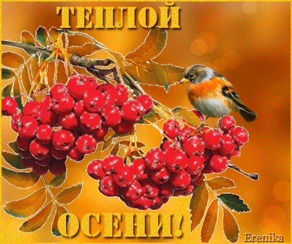 Теплой осени~Анимационные блестящие открытки GIF
