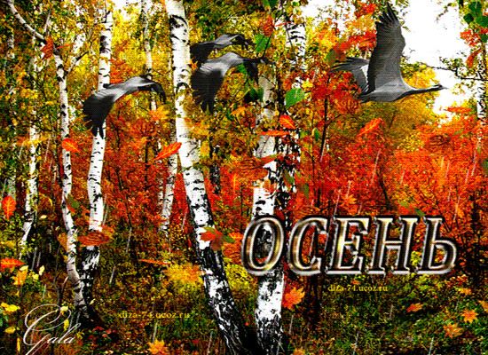 Осени пейзаж~Анимационные блестящие открытки GIF