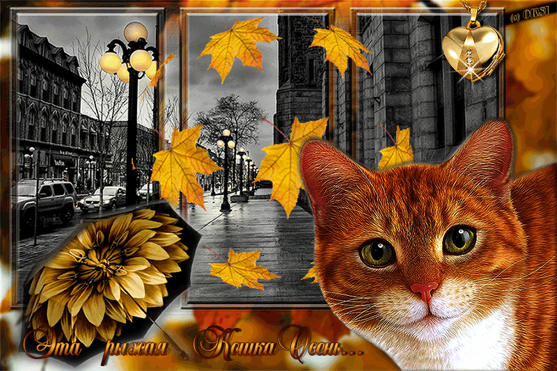Рыжая кошка Осень~Анимационные блестящие открытки GIF
