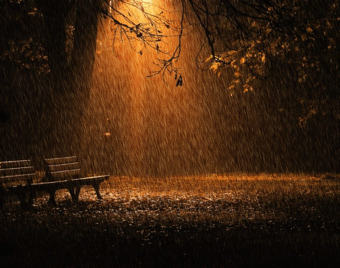 Осенний дождь в ночном парке~Анимационные блестящие открытки GIF