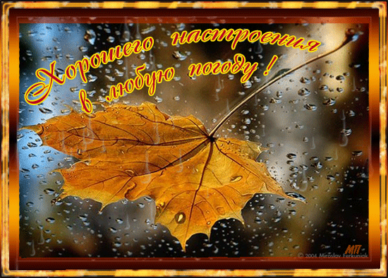Осенний лист~Анимационные блестящие открытки GIF