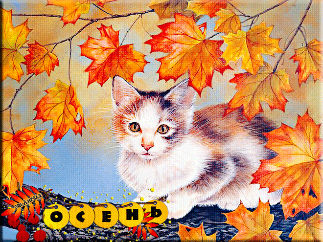 Осень-рыжая кошка~Анимационные блестящие открытки GIF