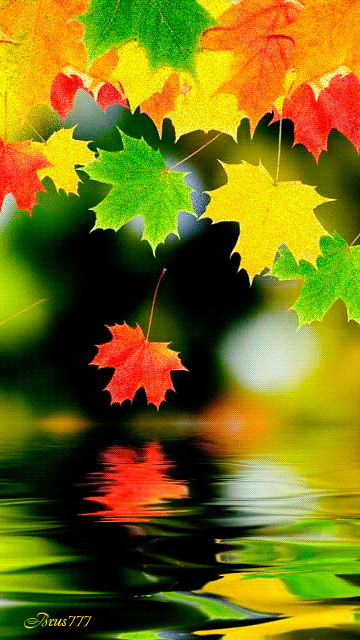 Разноцветная осень~Анимационные блестящие открытки GIF