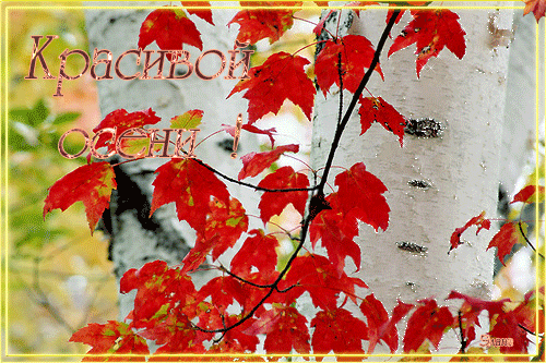 Пожелание красивой осени~Анимационные блестящие открытки GIF