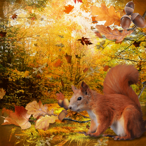 Белка в осеннем лесу~Анимационные блестящие открытки GIF