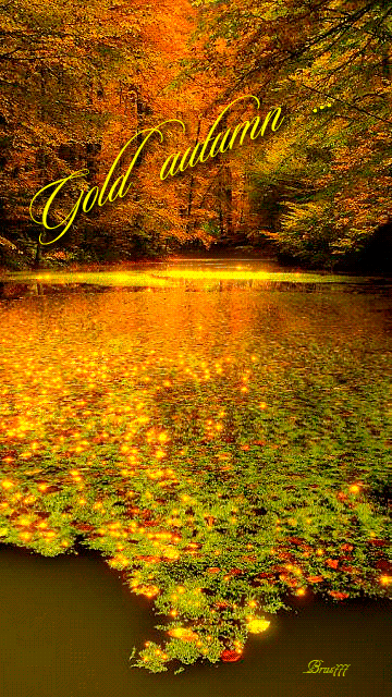 Пейзаж золотой осени~Анимационные блестящие открытки GIF