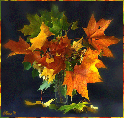 Букет осенних листьев~Анимационные блестящие открытки GIF