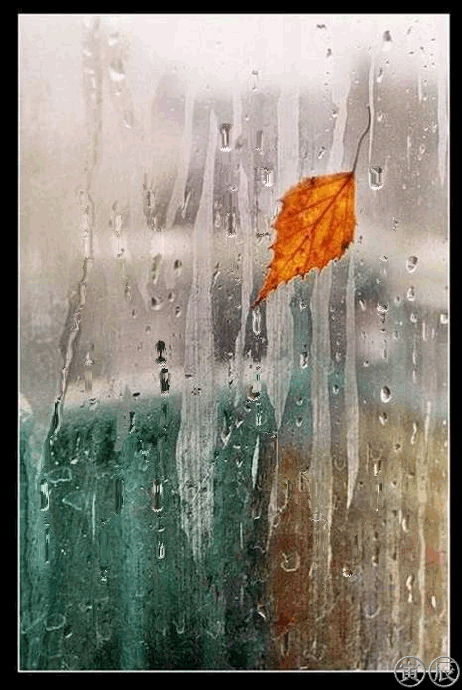 Кали дождя на стекле~Анимационные блестящие открытки GIF
