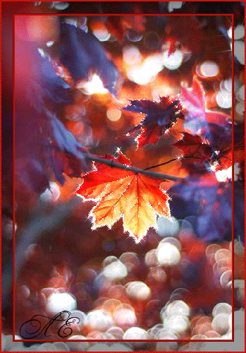 Осенний лист в солнечных лучах~Анимационные блестящие открытки GIF