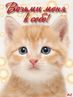 Очаровательный котенок~Анимационные блестящие открытки GIF