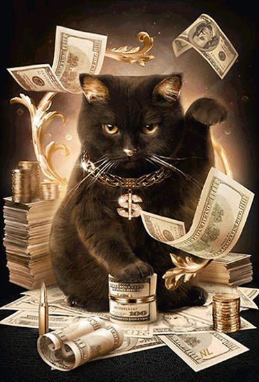 Кот и доллары~Анимационные блестящие открытки GIF