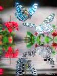 Волшебные бабочки - Блестяшки на телефон открытки и картинки
