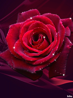 Бархатная роза фото~Анимационные блестящие открытки GIF