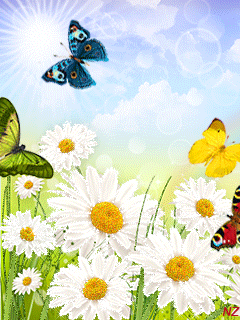 Лето бабочки ромашки~Анимационные блестящие открытки GIF