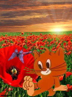 Котенок анимашка с бабочками~Анимационные блестящие открытки GIF