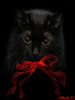 Черный котик~Анимационные блестящие открытки GIF