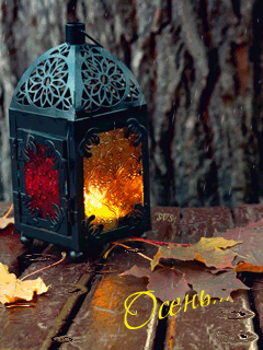 Осень в картинках~Анимационные блестящие открытки GIF