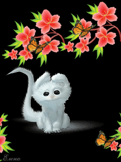 Анимации с животными~Анимационные блестящие открытки GIF