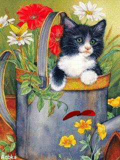 Анимашка котенок~Анимационные блестящие открытки GIF