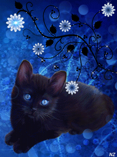 Милый котик~Анимационные блестящие открытки GIF