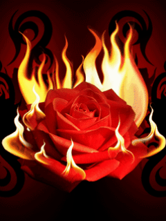 Роза в огне~Анимационные блестящие открытки GIF