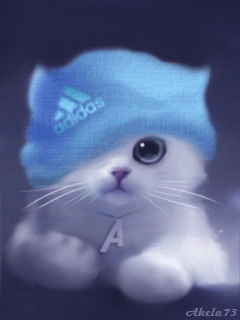 Белый котенок в шапке~Анимационные блестящие открытки GIF