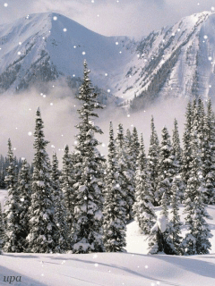 Снежные горы и ели~Анимационные блестящие открытки GIF
