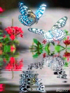 Волшебные бабочки~Анимационные блестящие открытки GIF