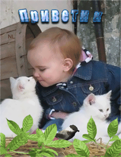 Котенок и мальчик~Анимационные блестящие открытки GIF